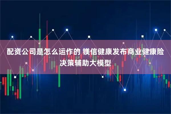 配资公司是怎么运作的 镁信健康发布商业健康险决策辅助大模型